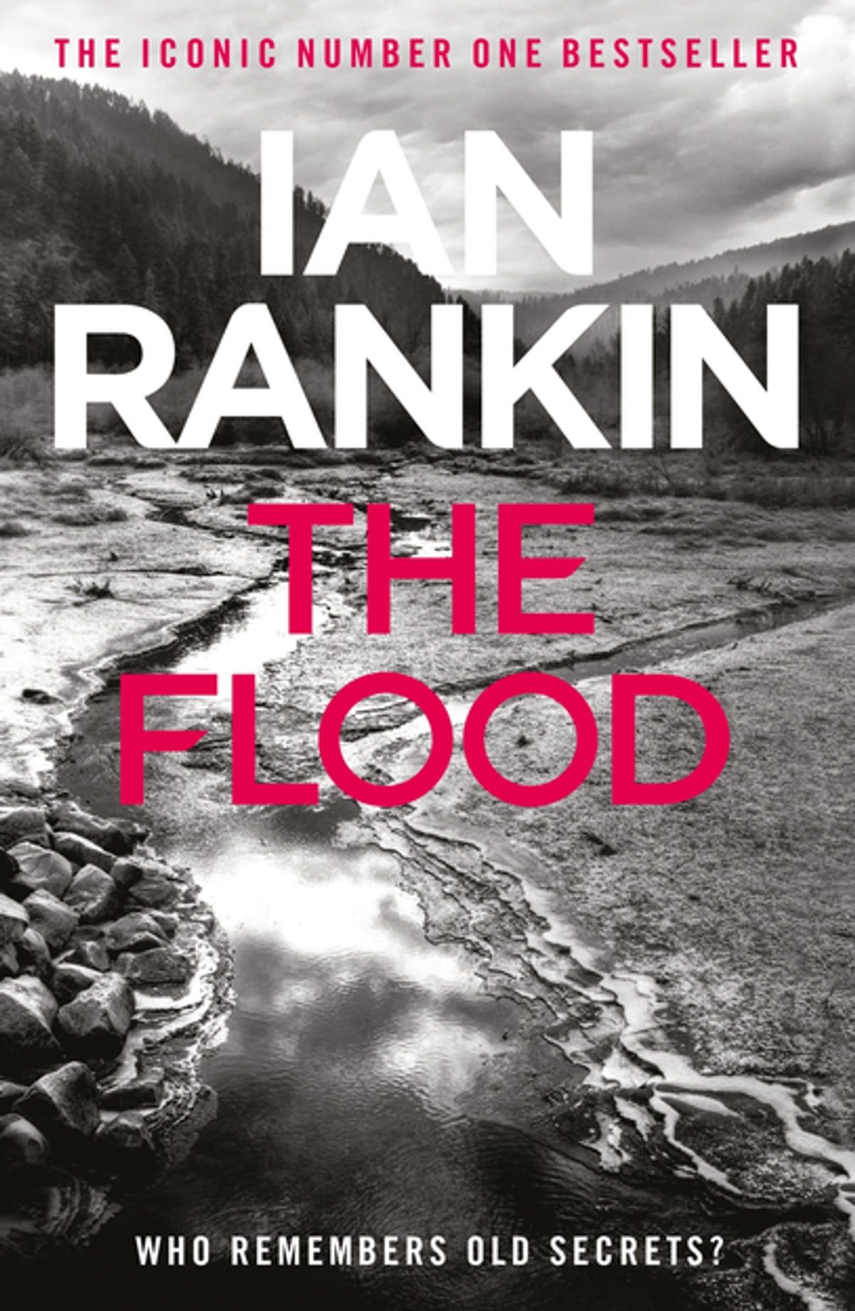 All 40+ Ian Rankin Books in Order | The Ultimate Guide